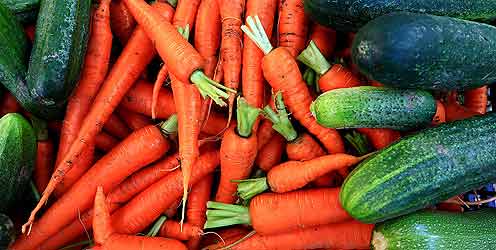 légumes du jardin